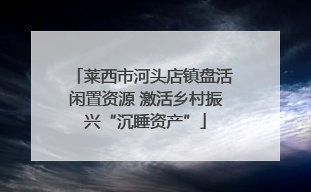 莱西市河头店镇盘活闲置资源 激活乡村振兴“沉睡资产”