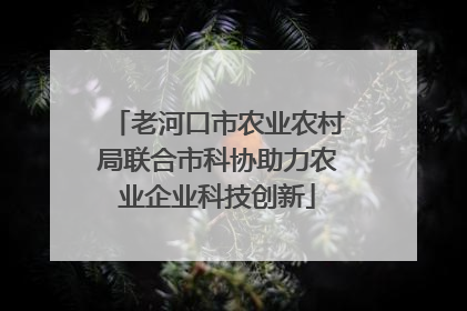 老河口市农业农村局联合市科协助力农业企业科技创新