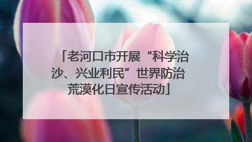 老河口市开展“科学治沙、兴业利民”世界防治荒漠化日宣传活动