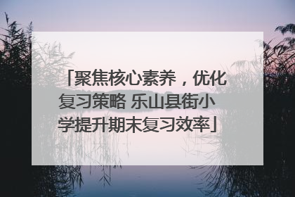 聚焦核心素养，优化复习策略 乐山县街小学提升期末复习效率