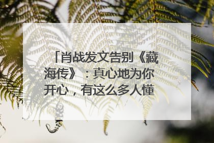 肖战发文告别《藏海传》：真心地为你开心，有这么多人懂你，导演回应“是否有第二季”