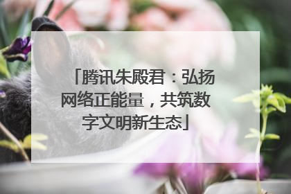 腾讯朱殿君：弘扬网络正能量，共筑数字文明新生态