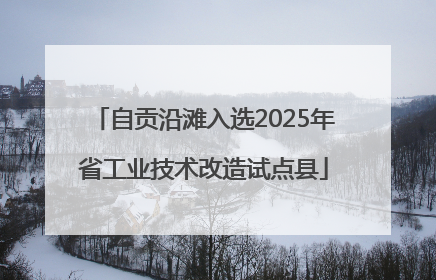 自贡沿滩入选2025年省工业技术改造试点县