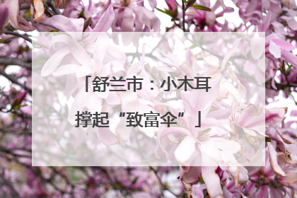 舒兰市：小木耳撑起“致富伞”