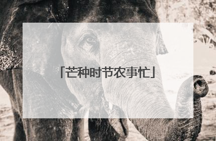 芒种时节农事忙