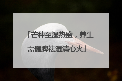 芒种至湿热盛，养生需健脾祛湿清心火