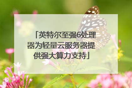 英特尔至强6处理器为轻量云服务器提供强大算力支持