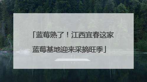 蓝莓熟了！江西宜春这家蓝莓基地迎来采摘旺季