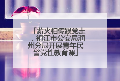 薪火相传跟党走，镇江市公安局润州分局开展青年民警党性教育课