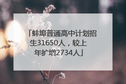 蚌埠普通高中计划招生31650人，较上年扩增2734人