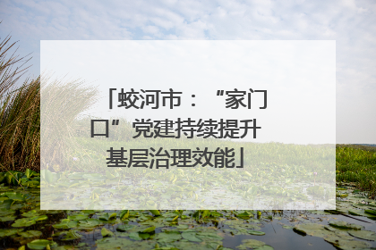 蛟河市：“家门口”党建持续提升基层治理效能