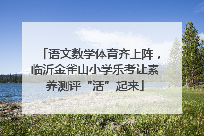 语文数学体育齐上阵，临沂金雀山小学乐考让素养测评“活”起来