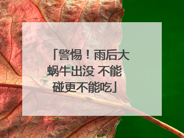 警惕！雨后大蜗牛出没 不能碰更不能吃