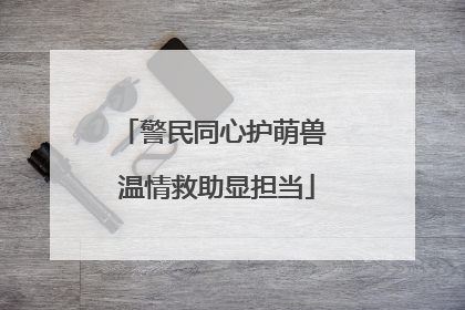 警民同心护萌兽 温情救助显担当