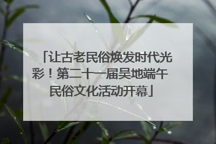 让古老民俗焕发时代光彩！第二十一届吴地端午民俗文化活动开幕