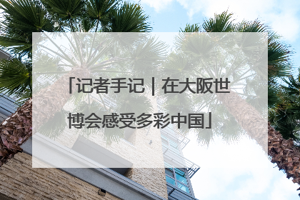 记者手记｜在大阪世博会感受多彩中国