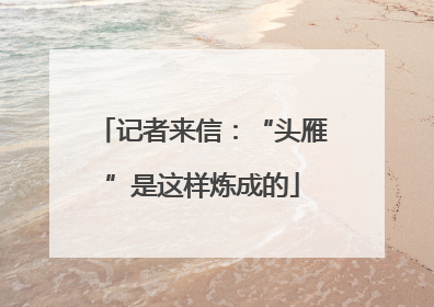 记者来信：“头雁”是这样炼成的