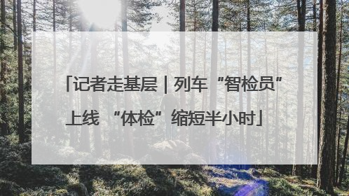 记者走基层｜列车“智检员”上线 “体检”缩短半小时