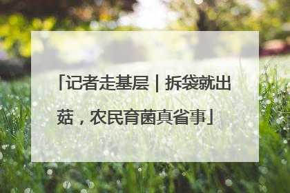记者走基层｜拆袋就出菇，农民育菌真省事
