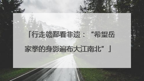 行走赣鄱看非遗：“希望岳家拳的身影遍布大江南北”