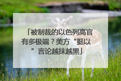 被制裁的以色列高官有多极端？美方“挺以”言论越抹越黑