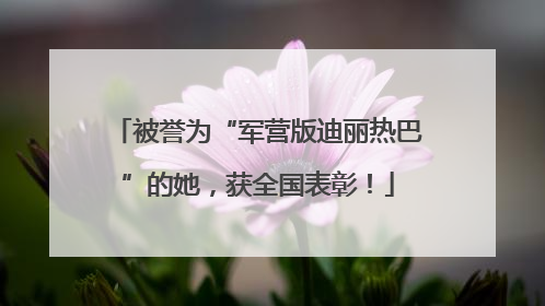 被誉为“军营版迪丽热巴”的她，获全国表彰！