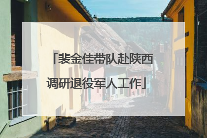 裴金佳带队赴陕西调研退役军人工作