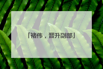 褚伟，晋升副部