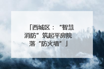 西城区：“智慧消防”筑起平房院落“防火墙”