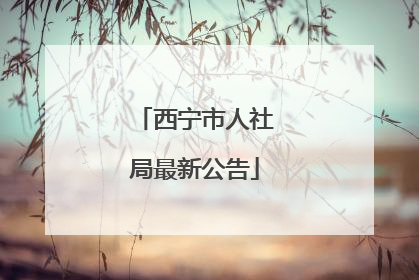 西宁市人社局最新公告