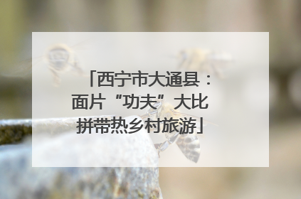 西宁市大通县:面片“功夫”大比拼带热乡村旅游