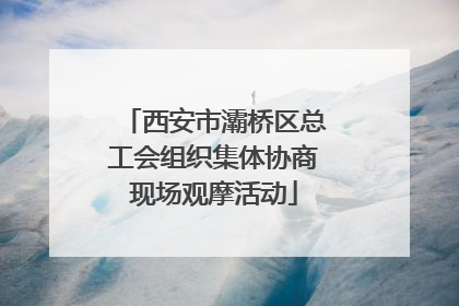 西安市灞桥区总工会组织集体协商现场观摩活动