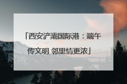 西安浐灞国际港：端午传文明 邻里情更浓
