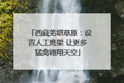 西藏羌塘草原：设置人工鹰架 让更多猛禽翱翔天空