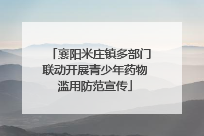 襄阳米庄镇多部门联动开展青少年药物滥用防范宣传