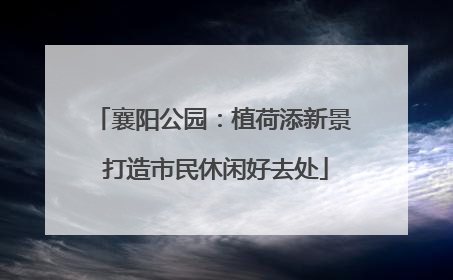 襄阳公园：植荷添新景 打造市民休闲好去处