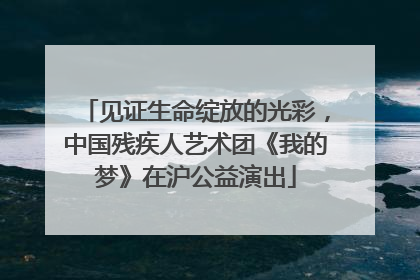 见证生命绽放的光彩，中国残疾人艺术团《我的梦》在沪公益演出
