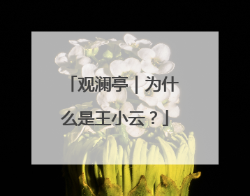 观澜亭｜为什么是王小云？