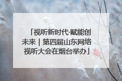 视听新时代·赋能创未来｜第四届山东网络视听大会在烟台举办