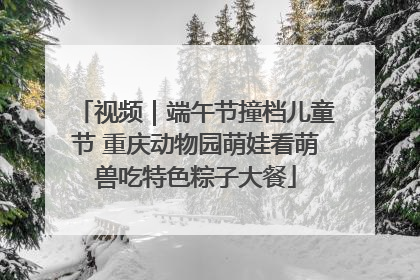 视频｜端午节撞档儿童节 重庆动物园萌娃看萌兽吃特色粽子大餐