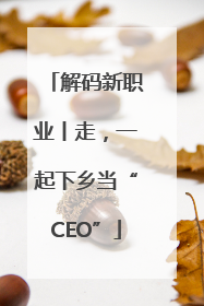 解码新职业丨走，一起下乡当“CEO”