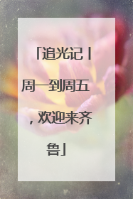 追光记丨周一到周五，欢迎来齐鲁
