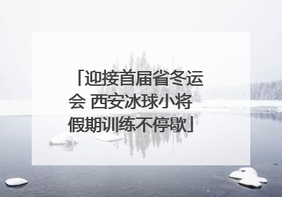 迎接首届省冬运会 西安冰球小将假期训练不停歇