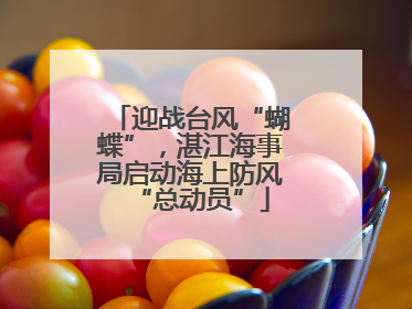 迎战台风“蝴蝶”，湛江海事局启动海上防风“总动员”