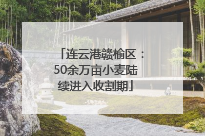 连云港赣榆区：50余万亩小麦陆续进入收割期