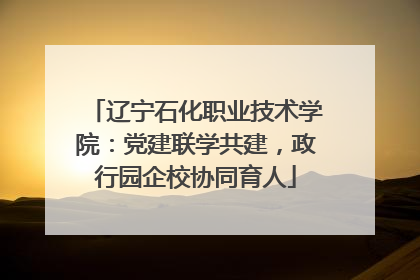 辽宁石化职业技术学院：党建联学共建，政行园企校协同育人