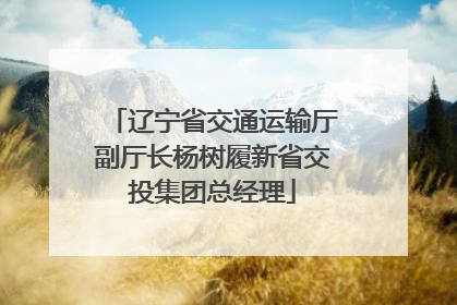 辽宁省交通运输厅副厅长杨树履新省交投集团总经理