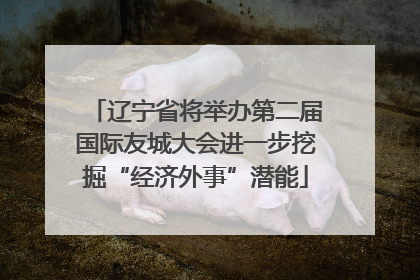 辽宁省将举办第二届国际友城大会进一步挖掘“经济外事”潜能