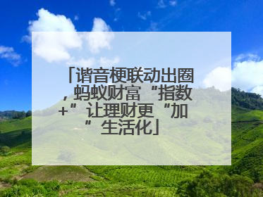 谐音梗联动出圈，蚂蚁财富“指数+”让理财更“加”生活化