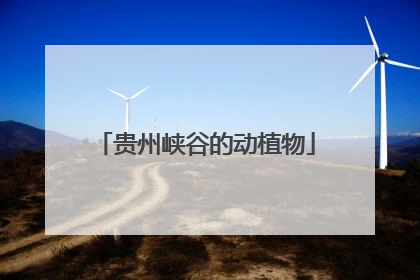 贵州峡谷的动植物
